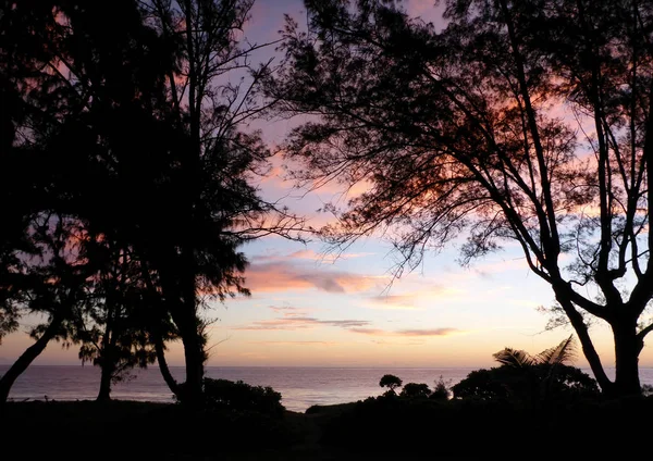 Bäume und Waimanalo Strand im Morgengrauen — Stockfoto