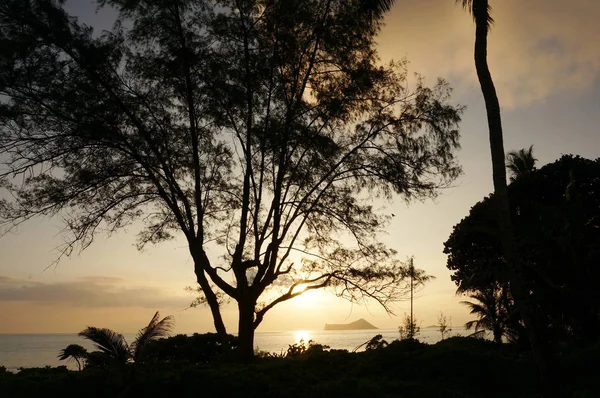 Early Morning Sunrise on Waimanalo Beach over ocean — Stock Photo, Image