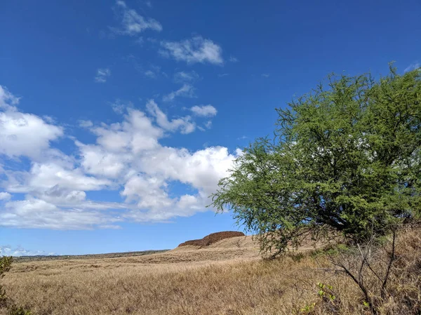 Poeukoholā Heiau — Stockfoto