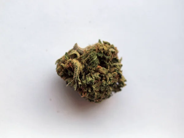 NUG av Kalifornien medicinsk marijuana — Stockfoto