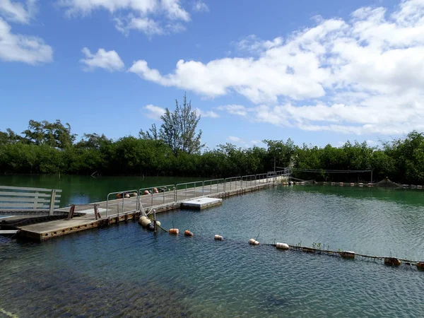 Shark Lagoon bij Hawaii Institute of Marine Biology — Stockfoto