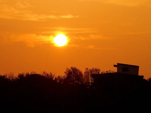 木々の熱帯のシルエットを過ぎたタンタロス山の夕日 — ストック写真