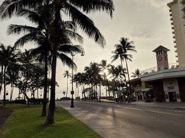 Tucker & Bev ile Kapahulu Caddesi'nde Hindistan cevizi ağaçları olsa Gün batımı