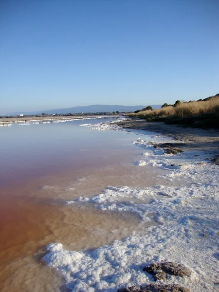 Salz am Ufer der Bucht von San Francisco — Stockfoto