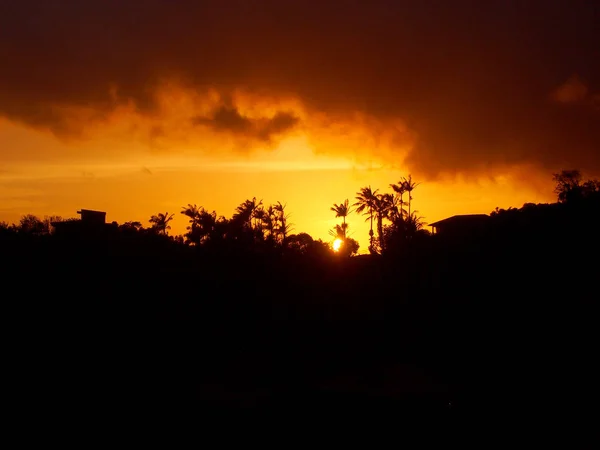 タンタロス山の後ろの夕日の過去の熱帯のシルエット — ストック写真