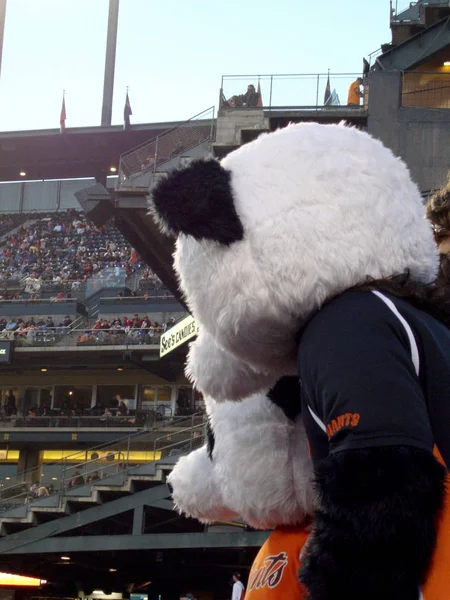 Два Панды смотреть бейсбол с трибун — стоковое фото