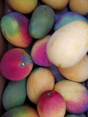 Güneş öpülen Hayden Mango'nun kutusundaki yığın