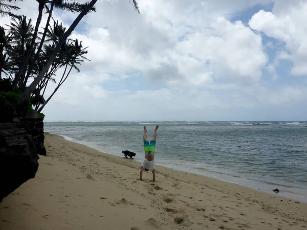 Mann macht Handstand am Strand mit schwarzem Hund — Stockfoto
