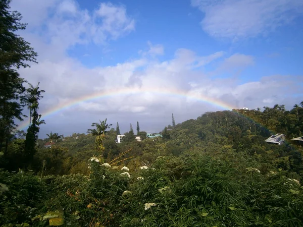 Regenbogen über dem Tantalus-Bergwald auf der Insel Oahu — Stockfoto