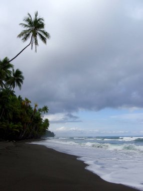 Beach in Punta Banco