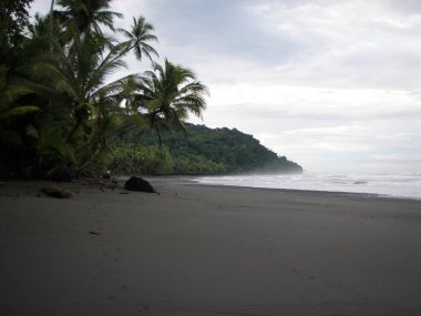 Beach in Punta Banco