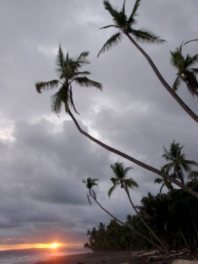 Sahilde dalga Tur olarak dağların arkasında günbatımı 