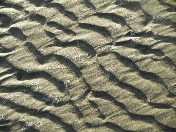 Welliger Sand mit Meeresform — Stockfoto