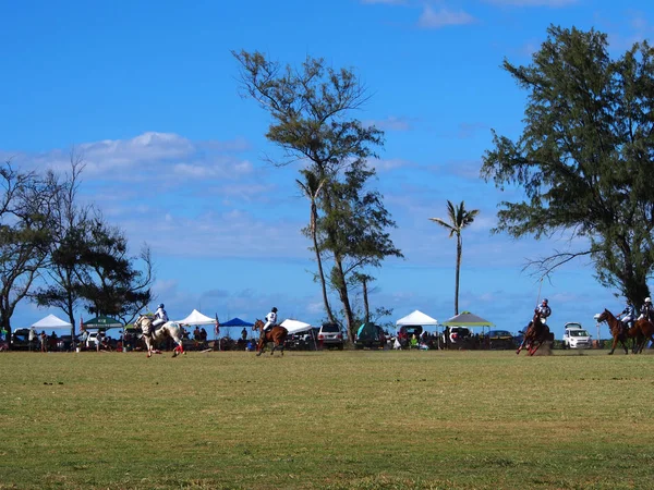 Polo spelet i aktion — Stockfoto