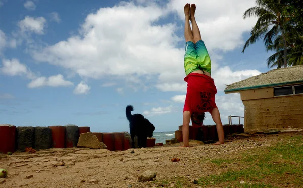 Man does Handstand at beach park next to black dog with ocean wa — Stock Photo, Image