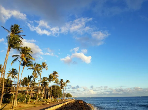 Kokospalmen hangen over pad langs rock zeedijk in kaka'ako wate — Stockfoto