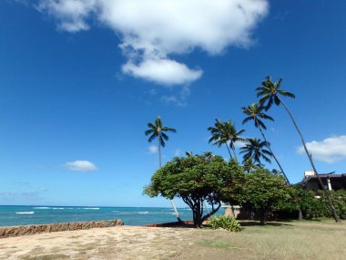leahi beach park
