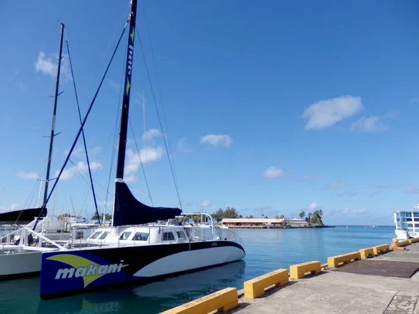 Honolulu - 22 Mayıs 2016: Kewalo Havzası Limanı 'nda Makani Teknesi. Makani, en iyi Hawaii katamaranı kapalı bir kabin oturma alanı, iki büyük tatlı su tuvaleti, Bose surround ses sistemi, LCD TV, güneş banyosu ağı alanları ve pilot odası oturma alanları sunuyor..