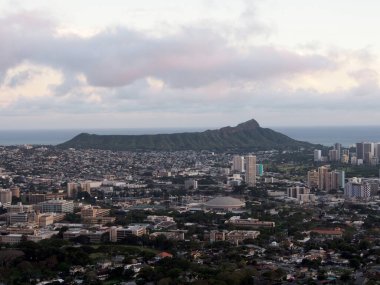 Honolulu şehri, Elmas 'tan Manoa' ya Kaimuki, Kahala ve okyanus manzarasıyla birlikte Oahu 'da güzel bir günde, alacakaranlıkta yüksek dağlardan, ön planda yüksek ağaçlarla seyredilir. Yuvarlak Sürücü Gözcüsünden.  