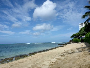Hawaii, Oahu 'da harika bir günde Makalei Sahili' nde dalgalar, napakaa, lav kaya duvarı ve Hindistan cevizi ağaçları..