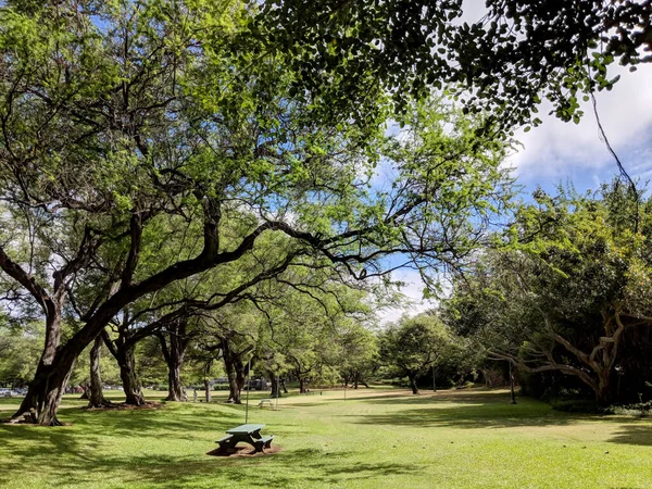 Piknikový Stůl Parku Kapiolani Během Dne Oahu Havaji — Stock fotografie