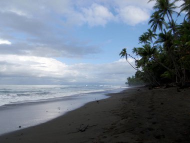 Punta Banco 'daki sahil, Kosta Rika ülkenin Pasifik Sahili' nde sabah.