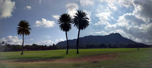 位于夏威夷瓦胡岛的卡皮亚尼公园的椰子树在白天被钻石头和云彩覆盖着 — 图库照片
