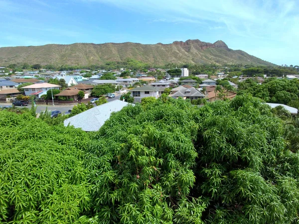 Vista Aérea Diamondhead Árboles Mango Casas Kapahulu Océano Pacífico Oahu — Foto de Stock