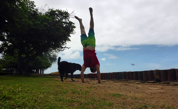 Man Does Handstand Beach Park Next Black Dog Airplane Distance — Zdjęcie stockowe