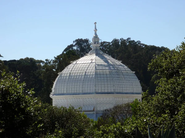 San Francisco - 23 Eylül 2010 Çiçekler Konservatuarı 'nın kubbesi açık bir günde ağaçların tepesine çıkar. Golden Gate Park 'ın Viktorya dönemi cam serasında 2.000' den fazla bitki ve çiçek türü bulunuyor.