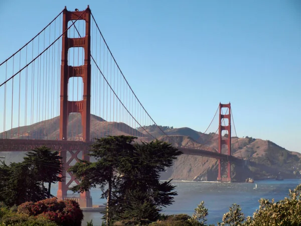 Golden Gate Bridge Mit Bäumen Vordergrund Und Marin Der Ferne — Stockfoto