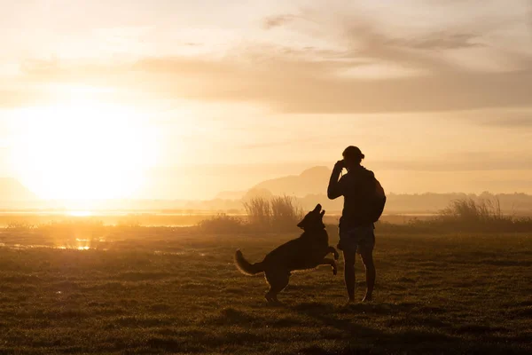 Silhouette von Frau und Hund beim Gassigehen vor dem Hintergrund des Sonnenuntergangs. — Stockfoto