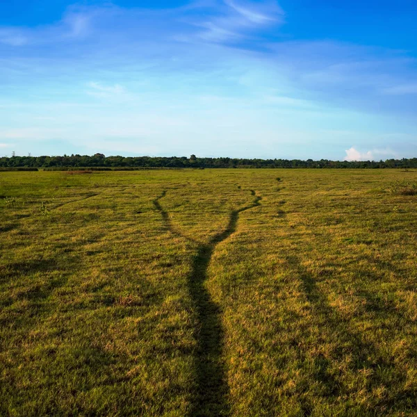 Dois caminhos se unem em um no campo verde . — Fotografia de Stock