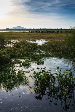 Göl ve dağ manzaralı