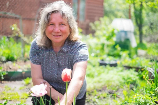 Щаслива старша біла жінка, що працює з квітами, квітучими в літньому саду . — стокове фото