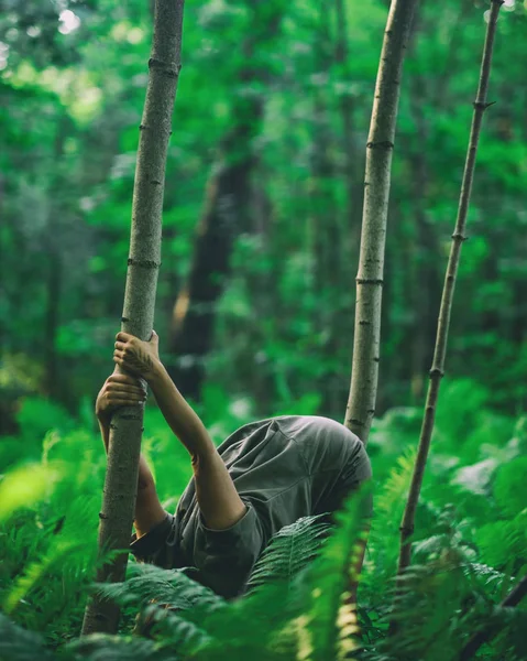 Kvinnan Gör Yoga Skogen Böjning Och Hålla Trädet — Stockfoto