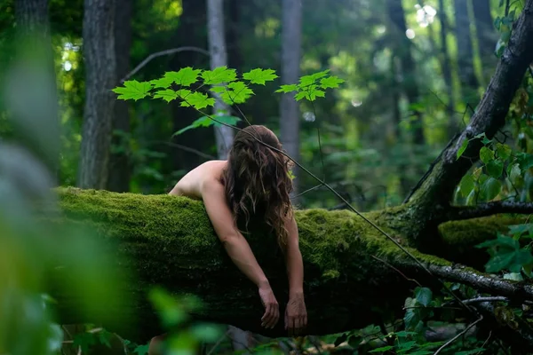 Mujer Europea Tronco Árbol Durmiendo Bosque Oscuro Está Triste Deprimida — Foto de Stock