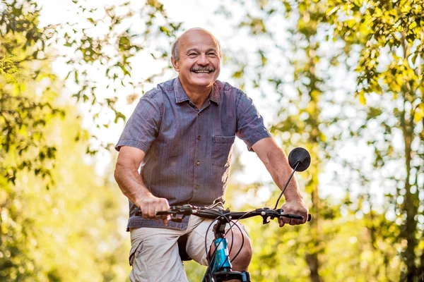 Vrolijke Senior Man Met Een Fiets Een Park Een Mooie — Stockfoto