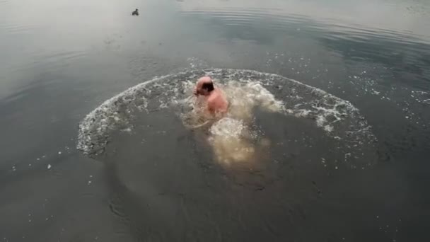 Caucásico maduro hombre saltando de madera muelle en el lago . — Vídeo de stock