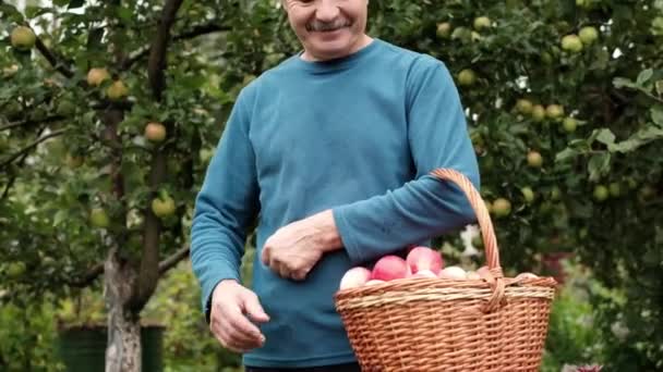 El hombre mayor caucásico en jersey azul disfruta de la cosecha de manzanas en el jardín — Vídeo de stock