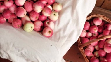 Kırmızı Olgun elma bir çok yaz aylarında toplanan