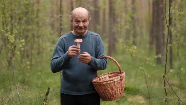 Zralý muž s košíkem v lese drží ve svých rukou několik hub. — Stock video