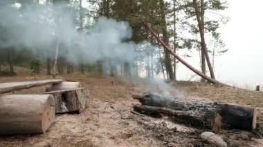 Göl su yakınında kumlu plaj küçük ateşin ortasına. Birisi yangını söndürmek için unuttum.