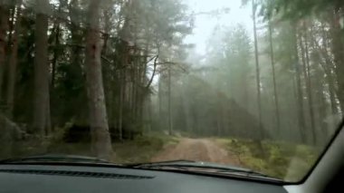 Kırsal sonbahar orman yolda araba araba