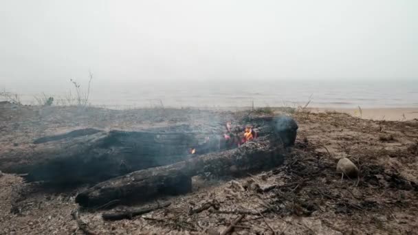 Piccolo falò sulla spiaggia sabbiosa vicino all'acqua del lago. Qualcuno ha dimenticato di spegnere l'incendio. . — Video Stock