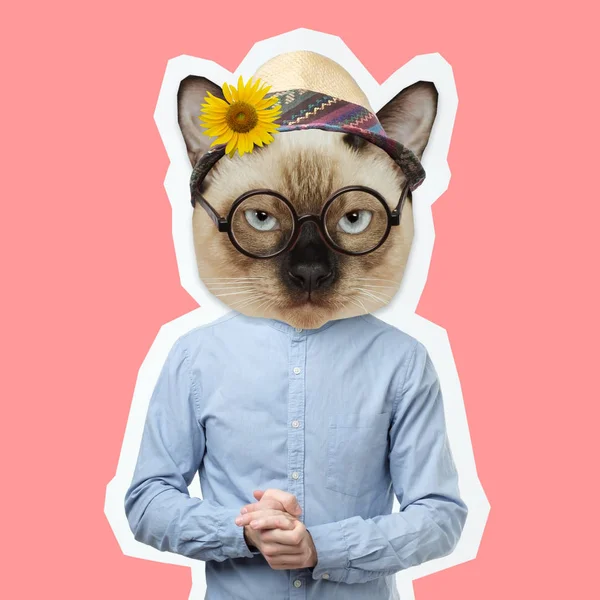 Funny Cat Head Human Body Gblue Shirt Fashion Contemporary Art — Stock Photo, Image