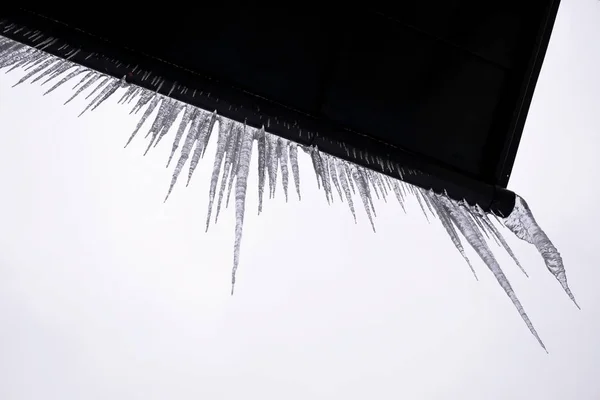 Winter Und Zeitigen Frühling Fallen Lange Eiszapfen Vom Dach Ist — Stockfoto