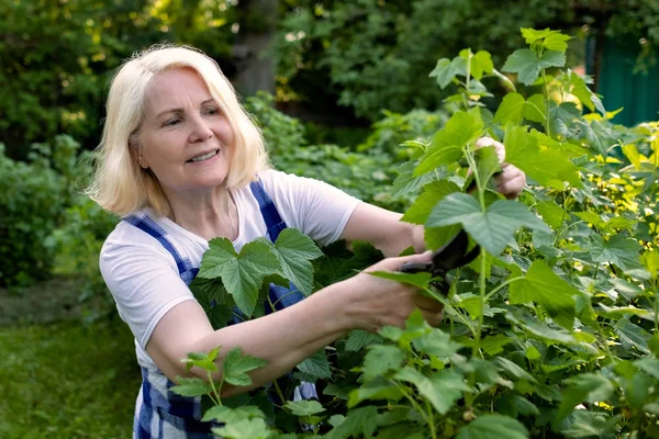 庭の仕事をしている枝をトリミングするシニア女性 — ストック写真