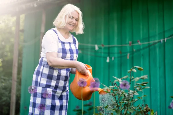 Senior blonde vrouw in schort drenken bloemen in de tuin — Stockfoto