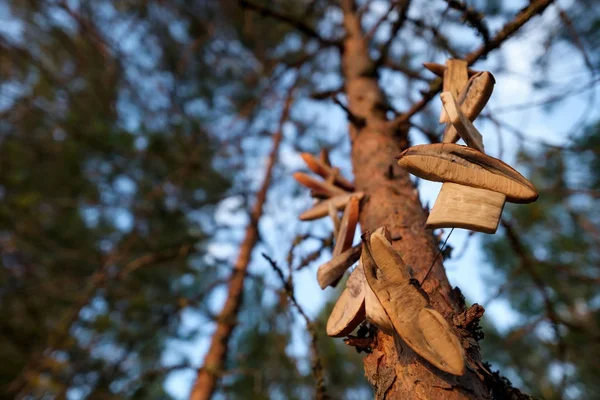 Champignons séchés sur une ficelle suspendue dans la forêt — Photo